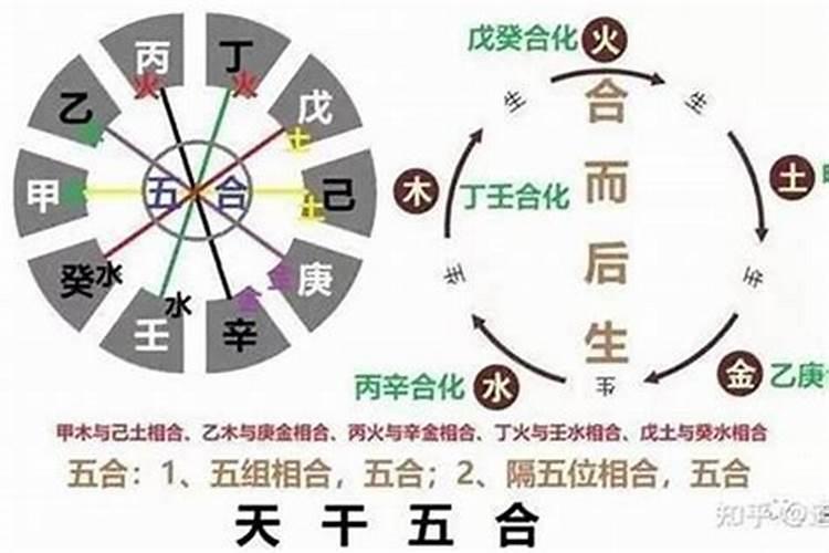 戊寅与什么八字合？