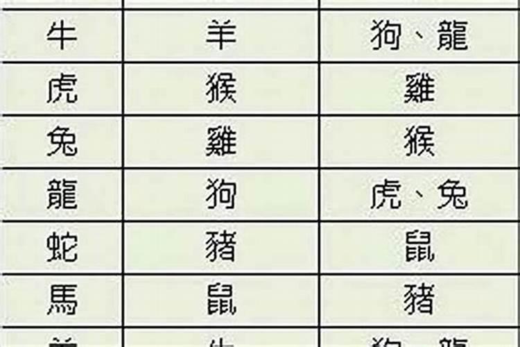 女属牛和龙属相婚配好吗？