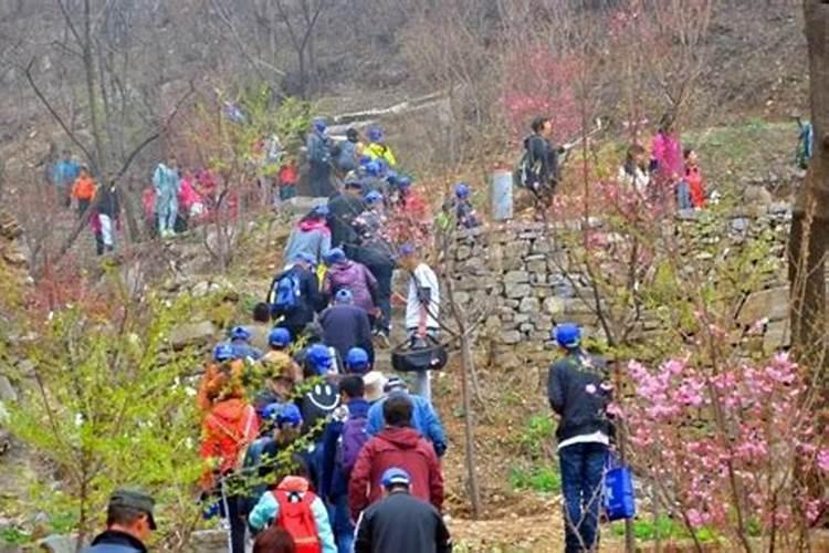 重阳节爬山祭祀很累