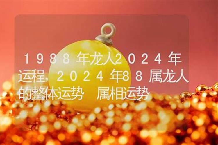 88年出生的人2024年运程