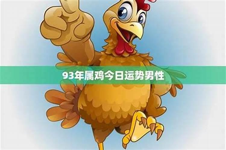 93年属鸡今年运势