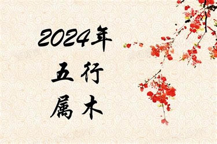 2024是什么命？