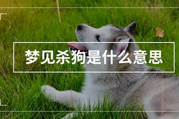 做梦杀狗什么意思？