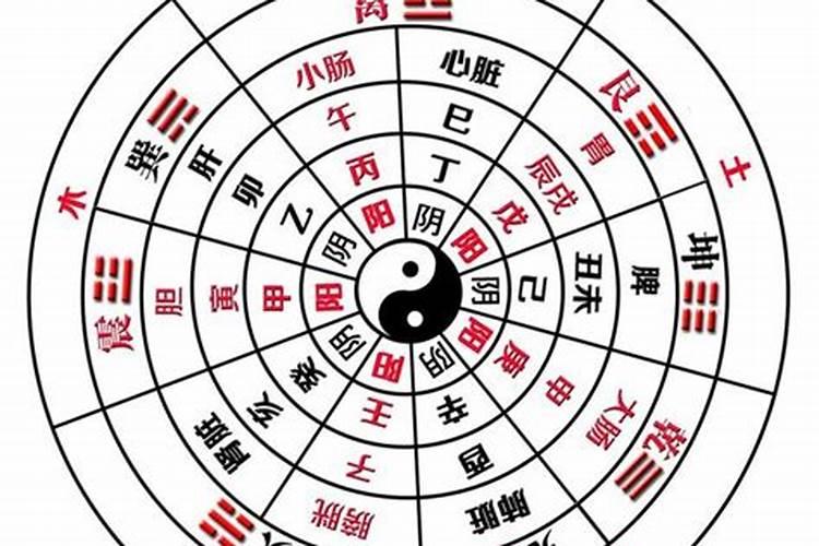 怎么样自己测八字？