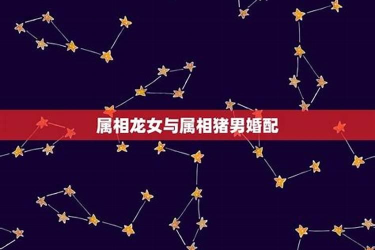 属龙男与属猪女合婚吗？
