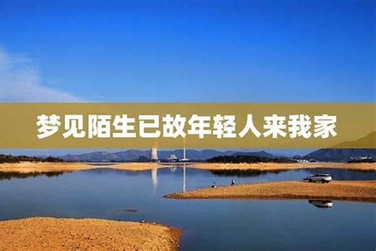 梦见陌生人住在我家被我赶走