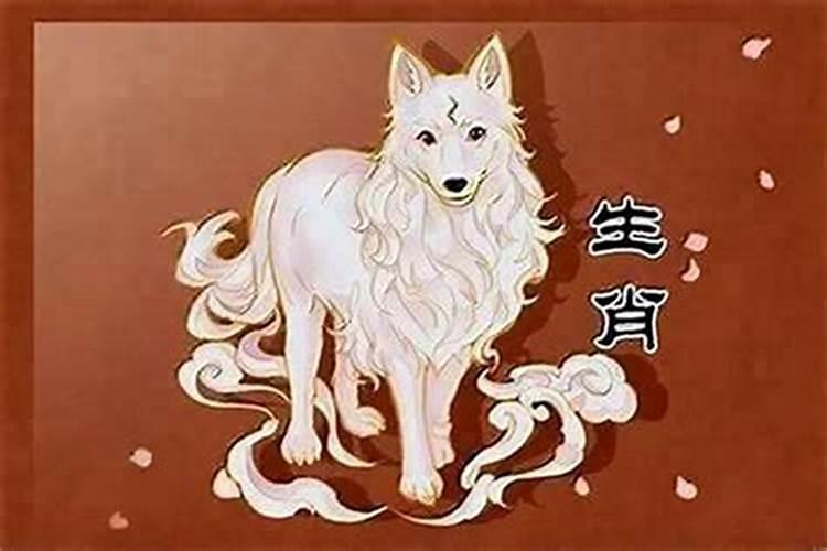 属狗和属龙2024年的运势
