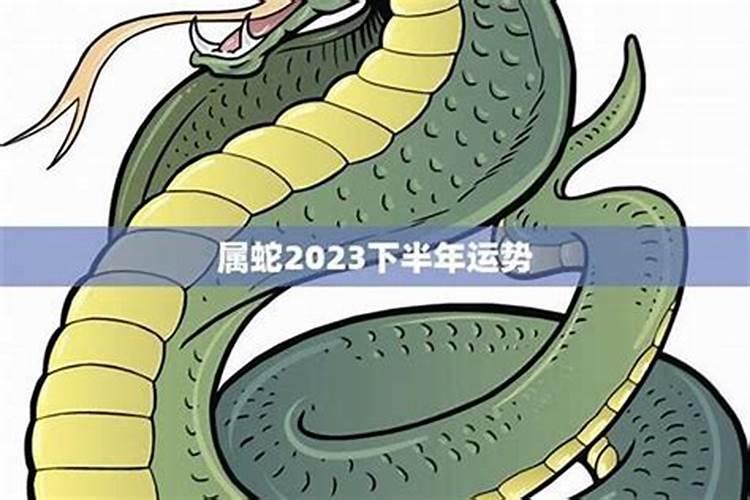 属蛇下半年的运势如何？