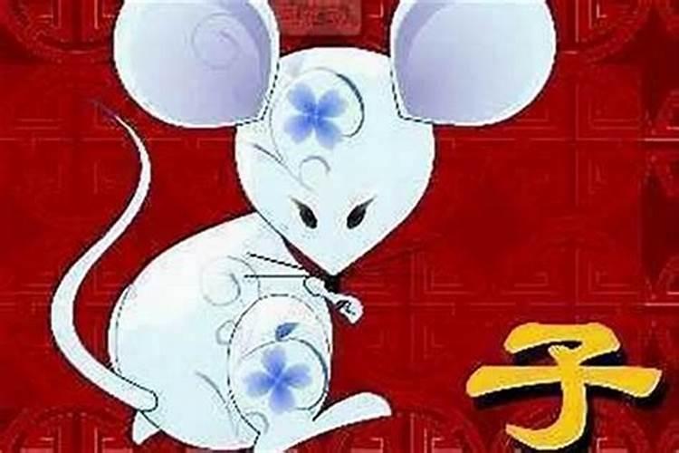 属鼠和什么属相婚配合适？
