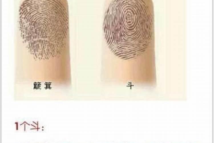 双手五个斗是什么运势？
