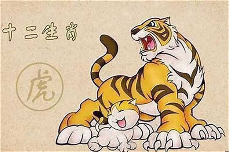 女虎和男牛合婚吗？