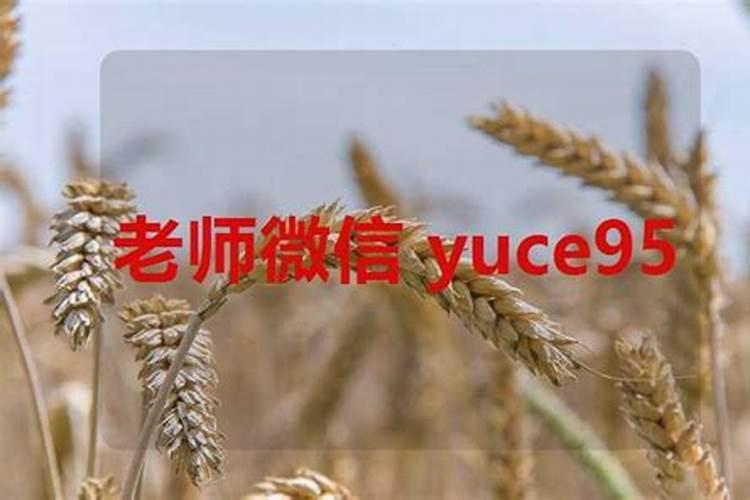 石家庄哪有算婚姻？