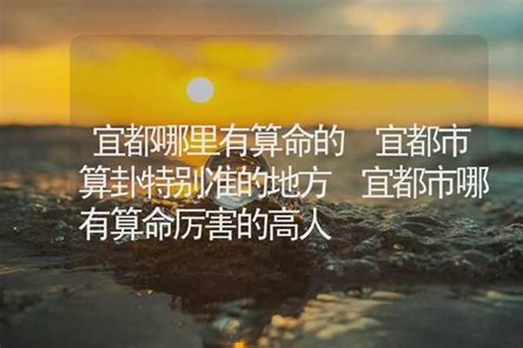 宜都哪里有算命的高人？