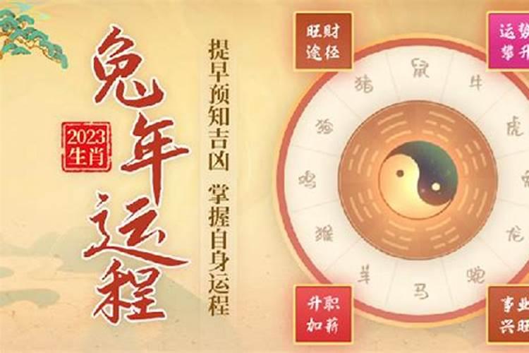 1976年龙在2024年的运势如何？