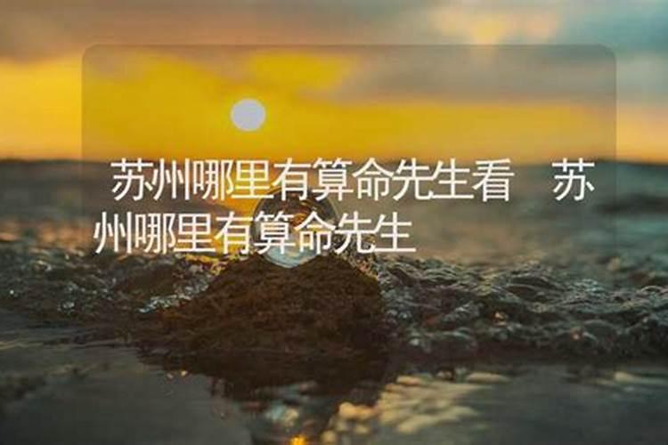 苏州哪里有算命的高人？