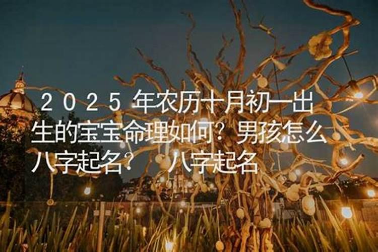 阴历十月初一出生的孩子