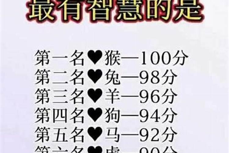 小人生肖中哪几个生肖最聪明？
