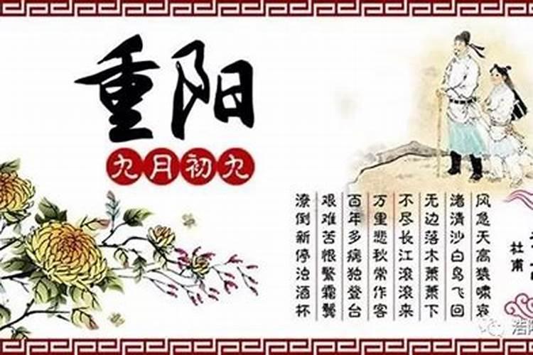 重阳节都有哪些典故出现？
