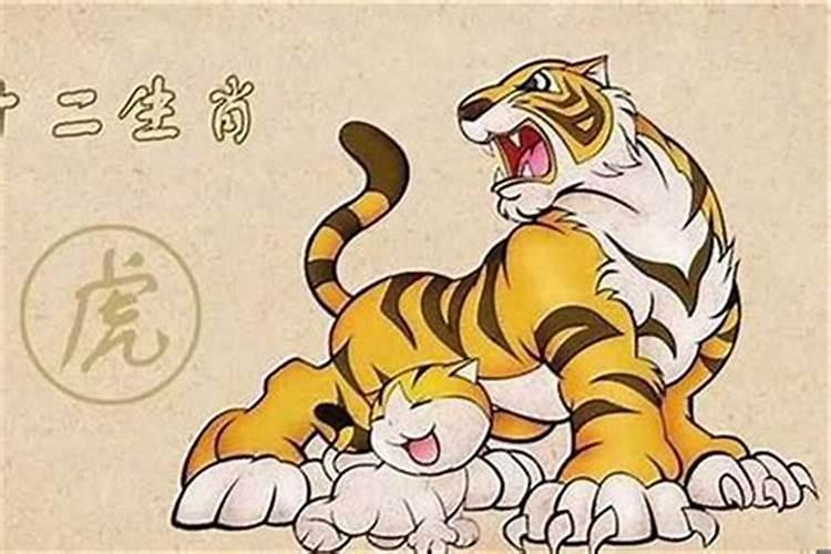 属虎的几年才是犯太岁？