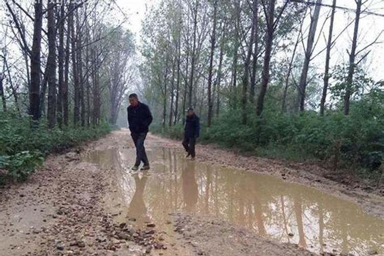 梦见回家的路上受阻有人带路回来
