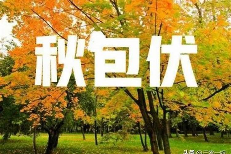 今年的立秋是公历哪一天？