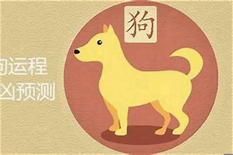 属狗年出生2024年运程