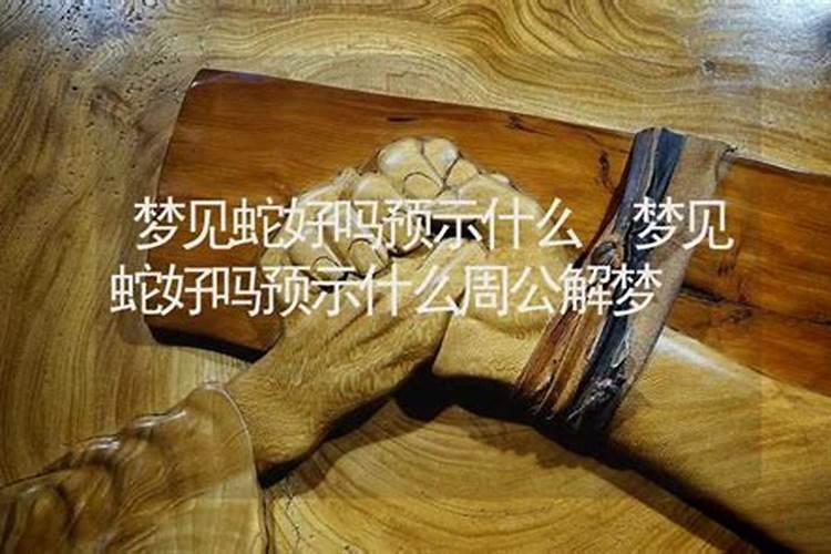 梦到蛇好吗？