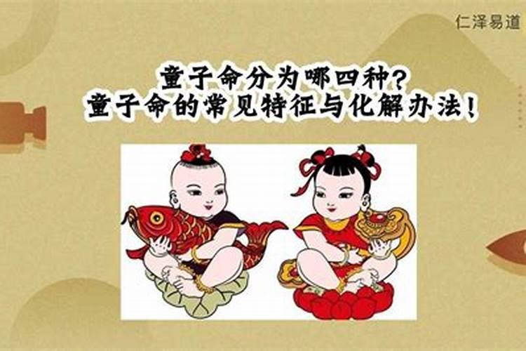 哪种童子等级比较高？