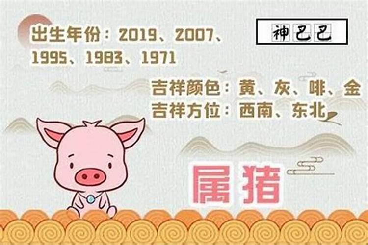 1983年出生的女人2024年运程