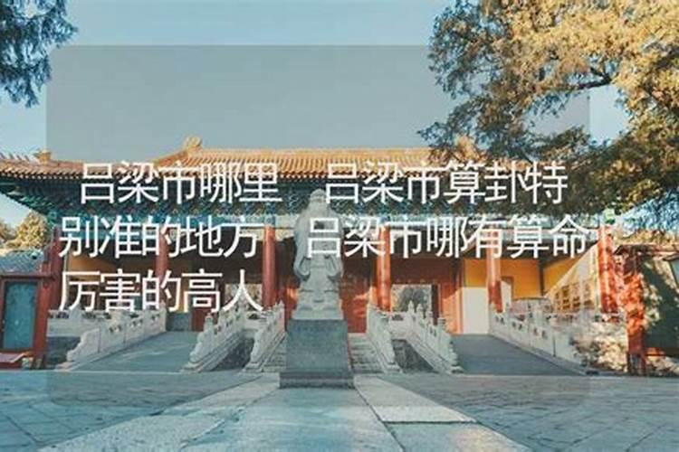 临清哪里有算命的高人？