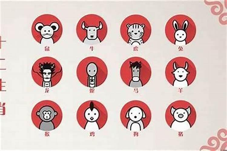 十二生肖哪个最聪明呢？