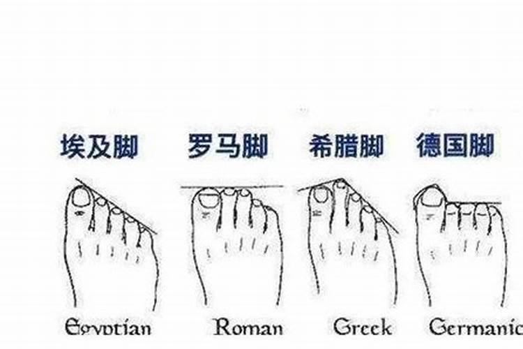 六种脚型什么命？