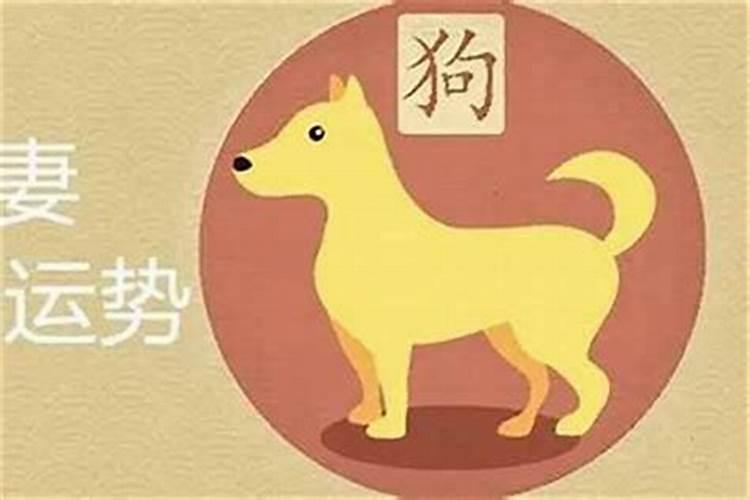 女狗男龙属相婚配好吗？