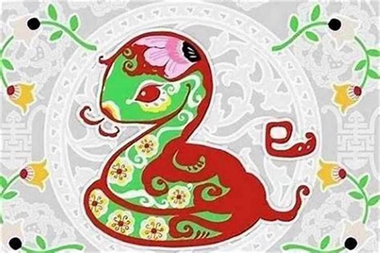 今年属蛇和龙结合运势