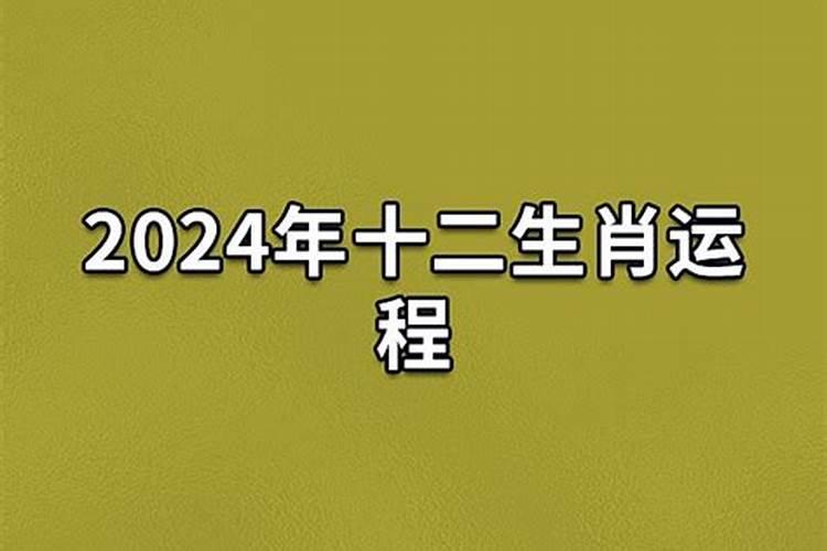 1994在2024年的运势