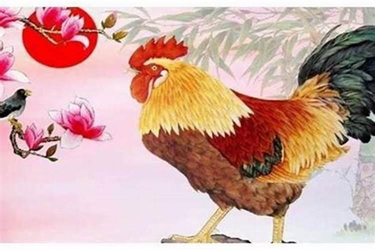 今年属鸡本命年的运势