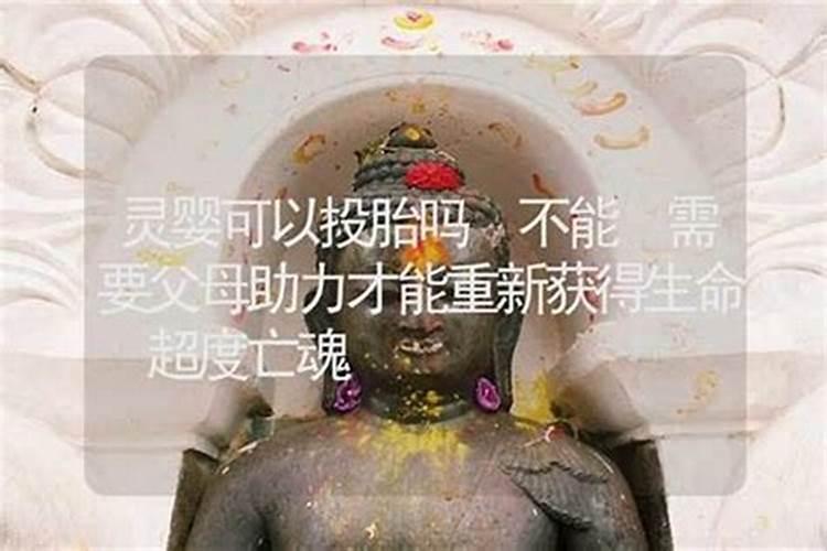 堕胎婴灵不超度能投胎吗？