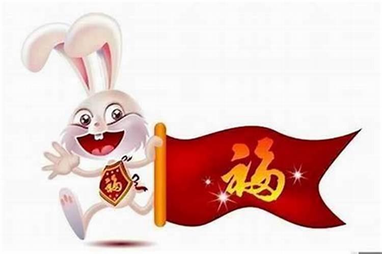 兔年今年运势怎么样2024年？