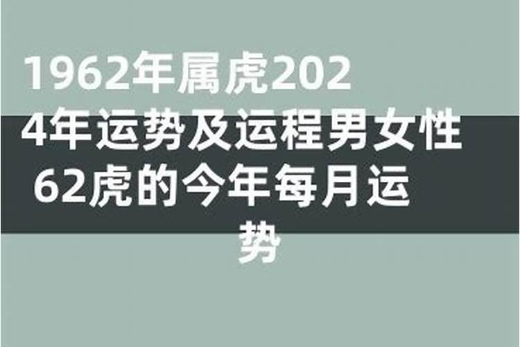 免62年2024年运程