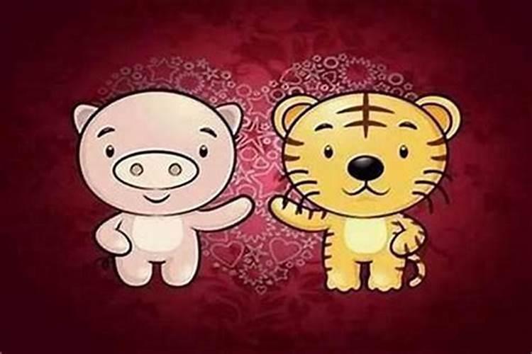 属相婚配男虎女龙好吗？