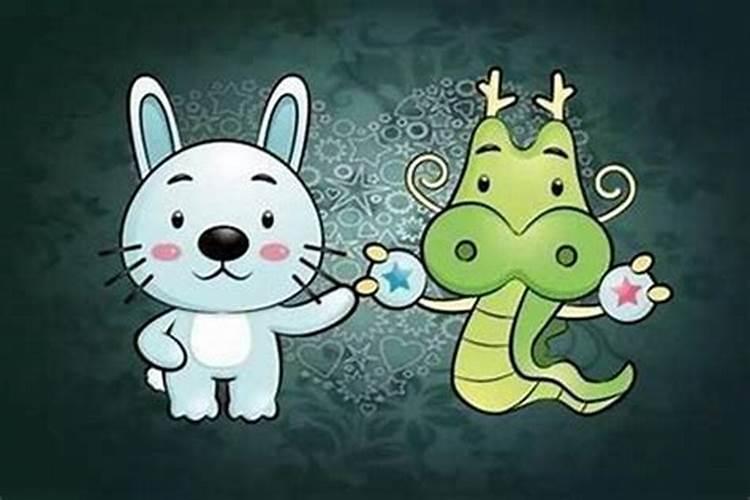 属龙的和属兔的能合婚吗？