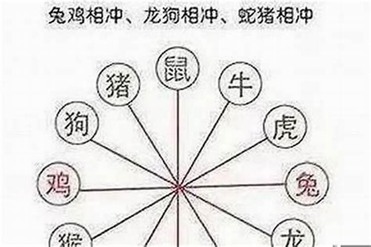 属狗和什么属相相冲？