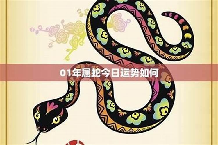 生肖蛇最新今日运势