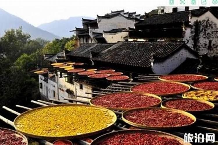 重阳节在婺源哪里过？