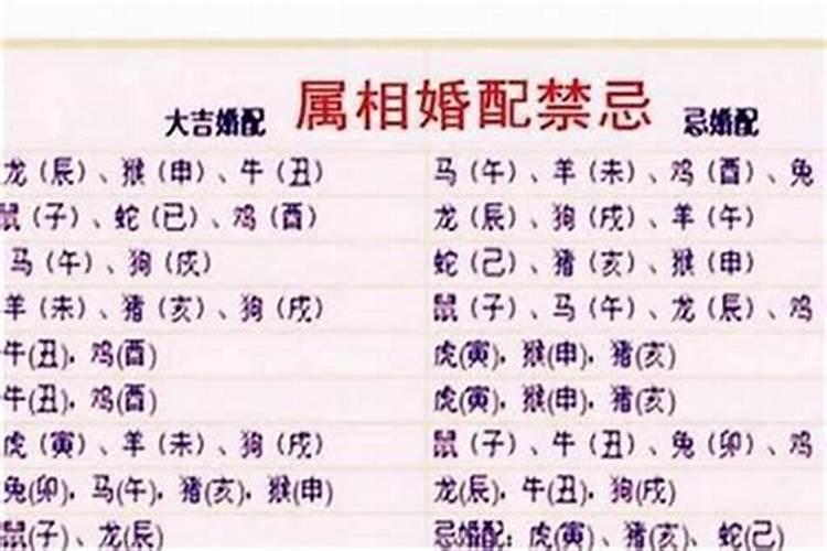 婚配属相相克如何化解？