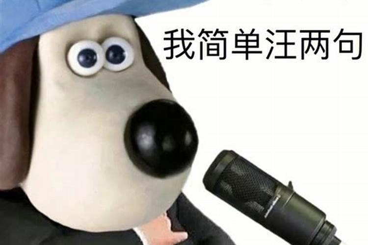 梦到狗狗很听我的话