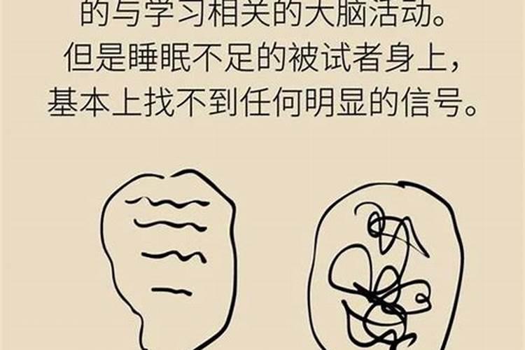 婚姻和合法事是什么？