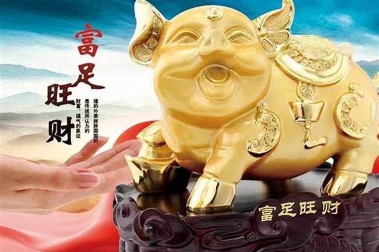 1983属相猪2024年运势