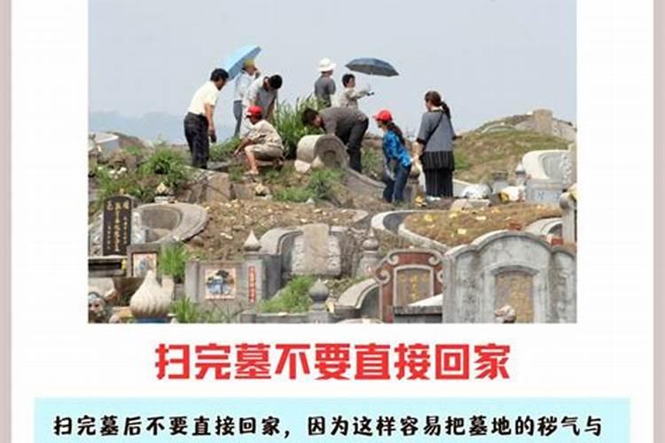 清明节扫墓这些禁忌一定要知道