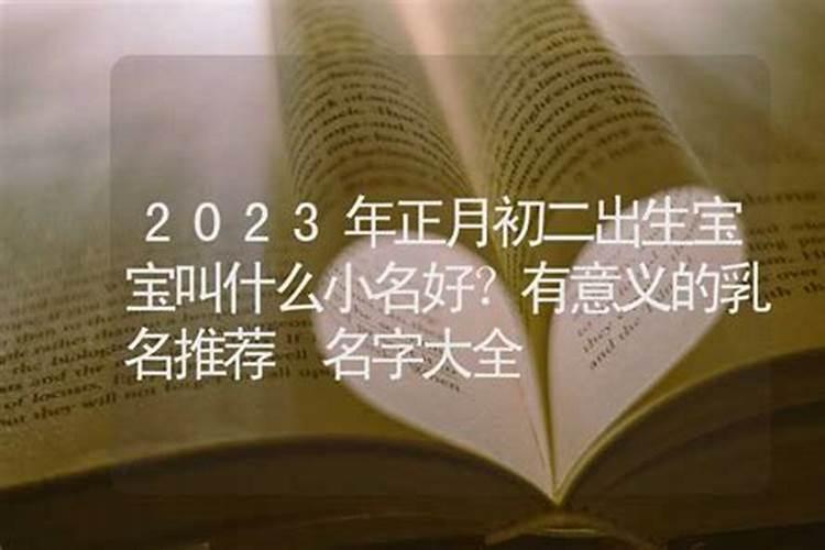 正月初二出生起小名